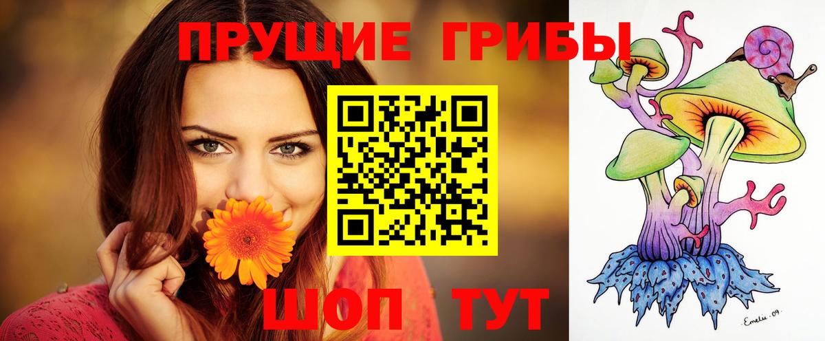 Псилоцибиновые грибы мицелий  Псилоцибиновые грибы MAGIC MUSHROOMS  Зерноград  Вход с VPN 